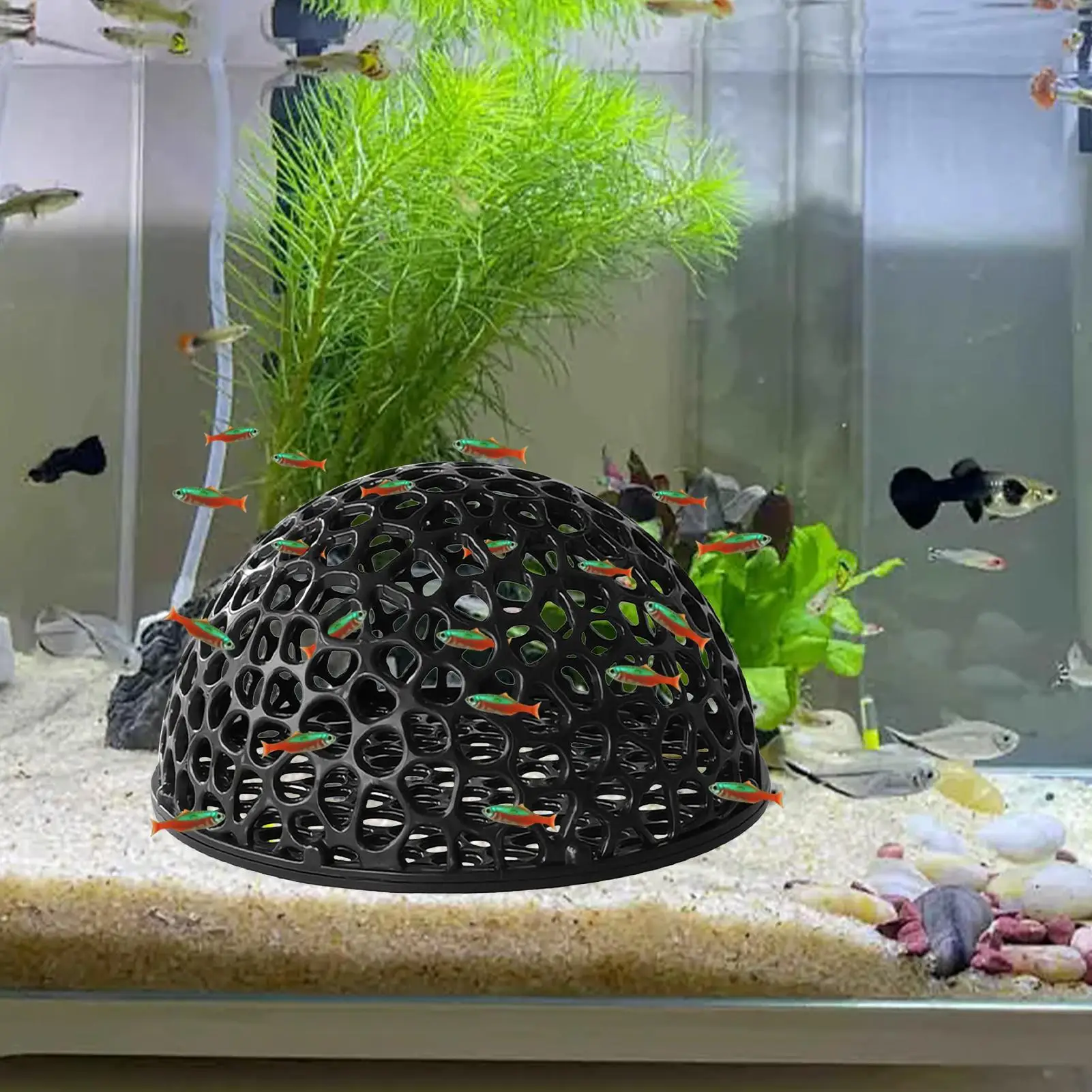 Caverna de criação de camarão de aquário, esconderijo de camarão, decoração de aquário, ferramentas de esconderijo, suprimentos de habitat betta, local de descanso de peixes
